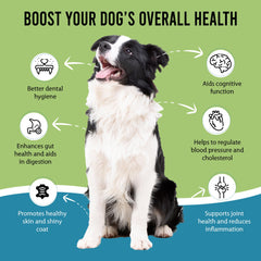 Caniclean plaque-dentaire-chien: aide potentielle à réduire la plaque dentaire.