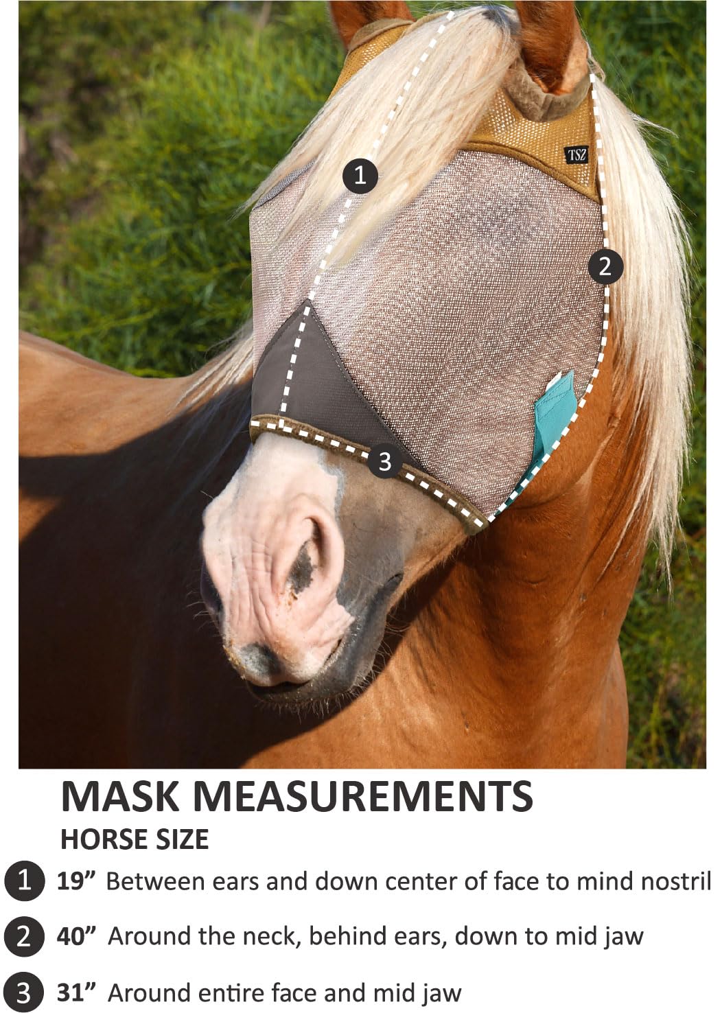The Sunny Zebra emballage 100 % sans plastique, respectueux de l’environnement.