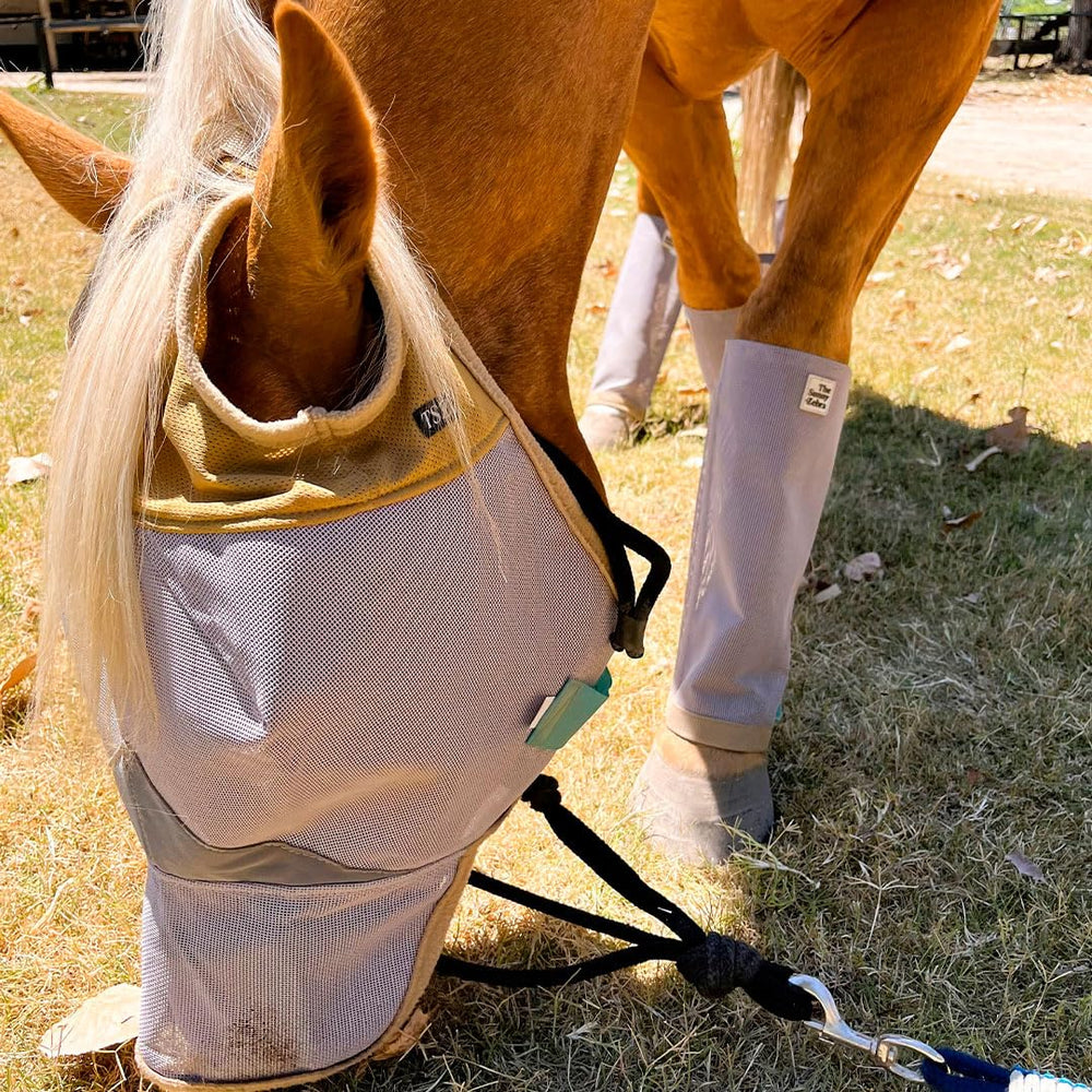 The Sunny Zebra masque cheval anti-mouches avec nez pour des sorties paisibles.
