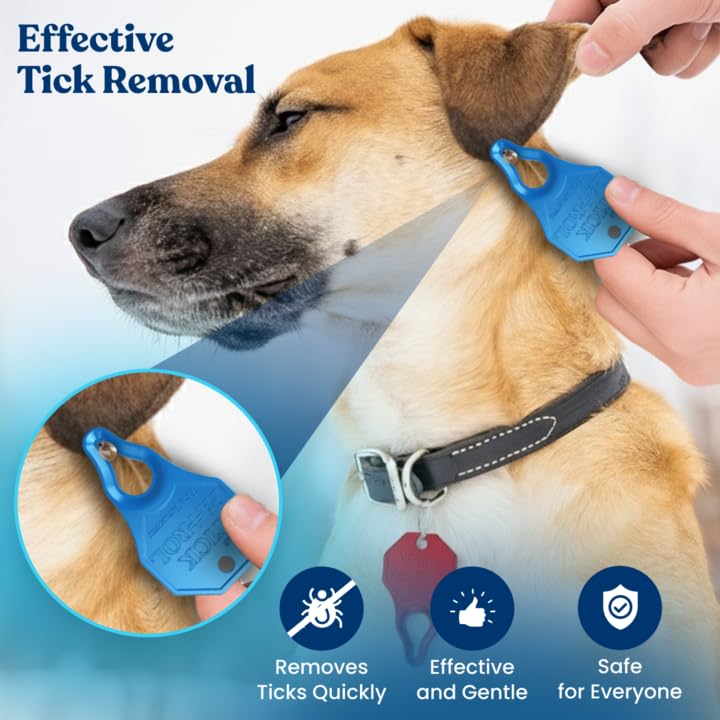 The Tick Patrol outil d’extraction tique avec attache-clef pour emporter partout
