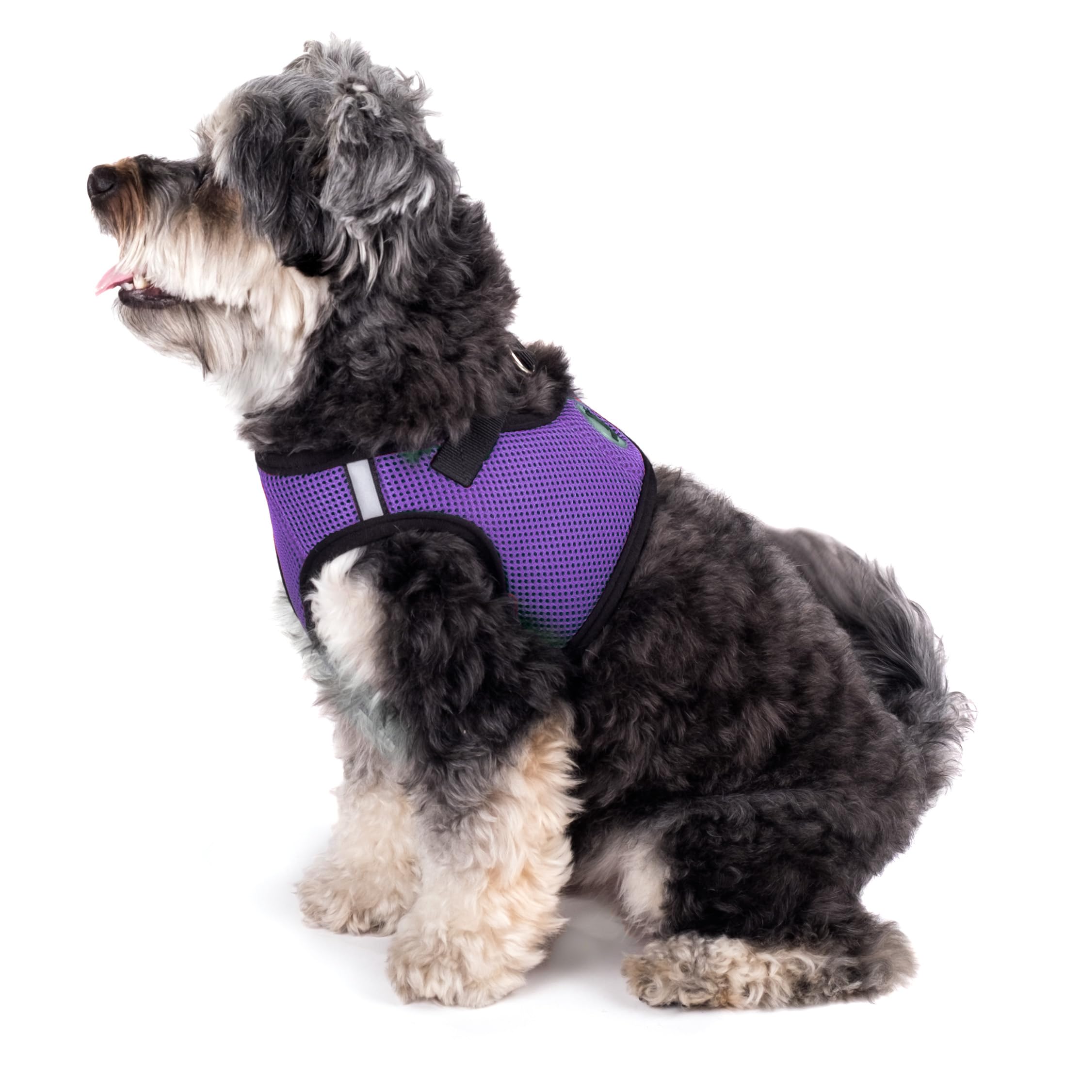 The Worthy Dog design sans étranglement protégeant le cou et offrant liberté de mouvement.
