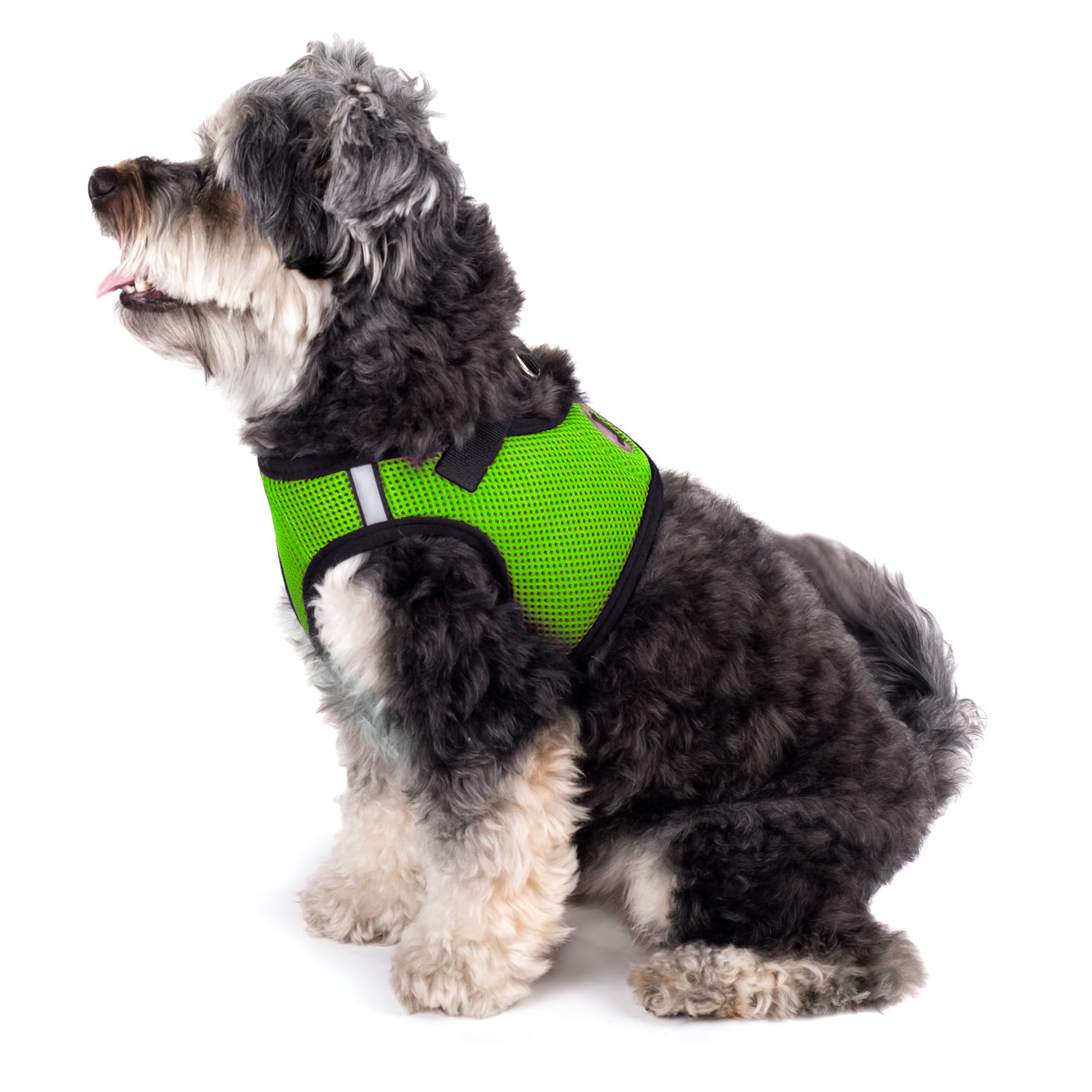 The Worthy Dog harnais moyen, fermeture auto-agrippante et boucle rapide pour enfiler sans effort.