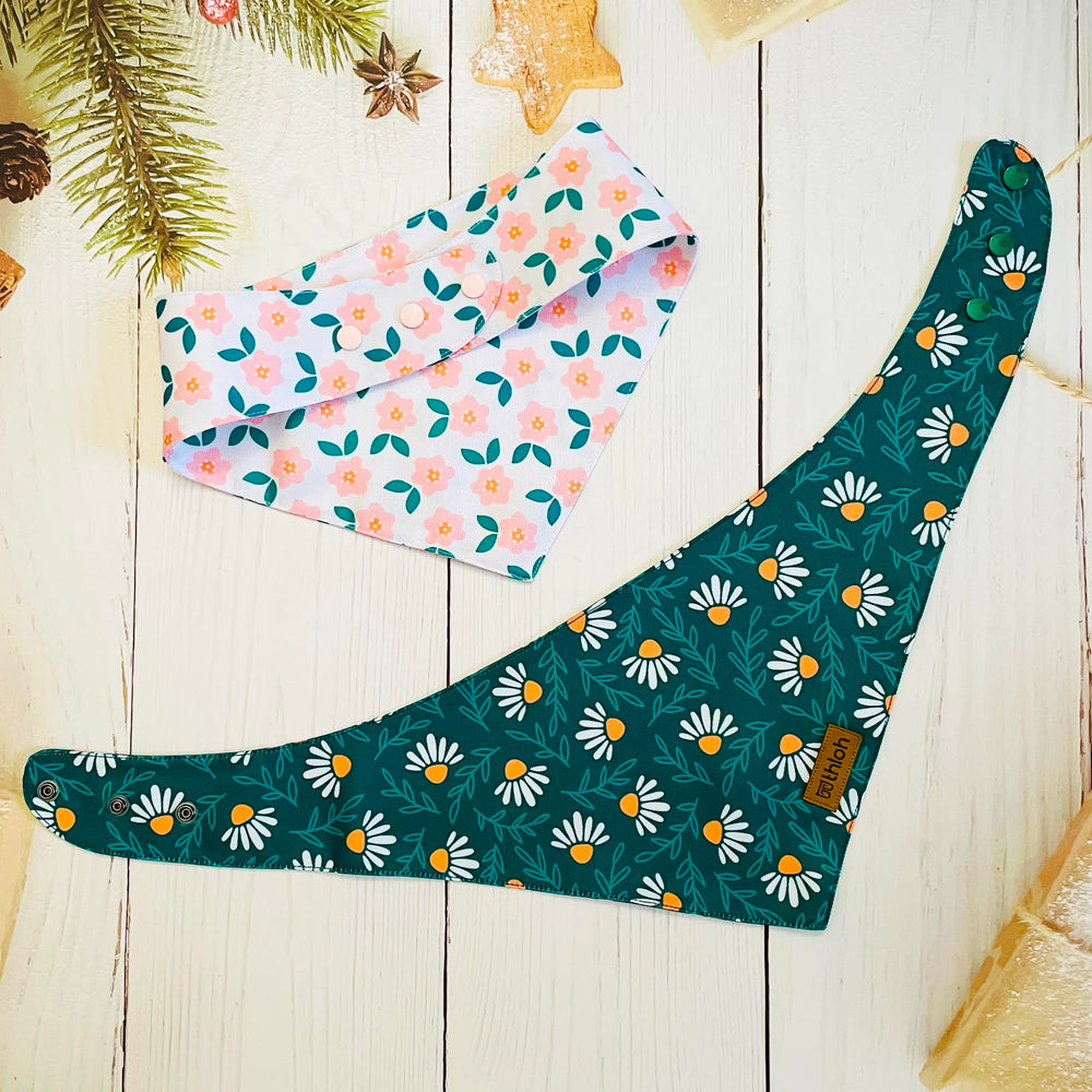 Cadeau prêt THLOH, emballage élégant pour chien.