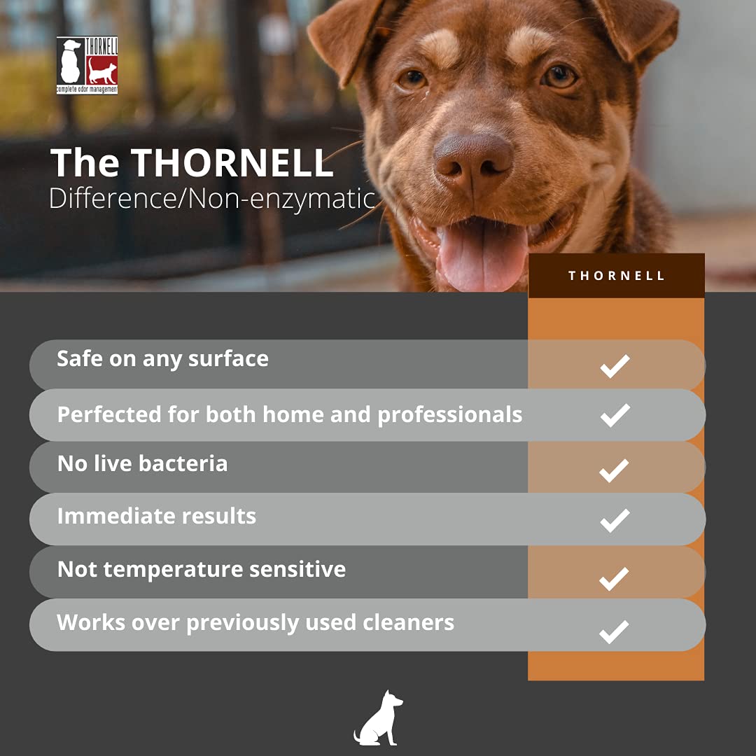 Nettoyage de tapis et sols avec le concentré Thornell.