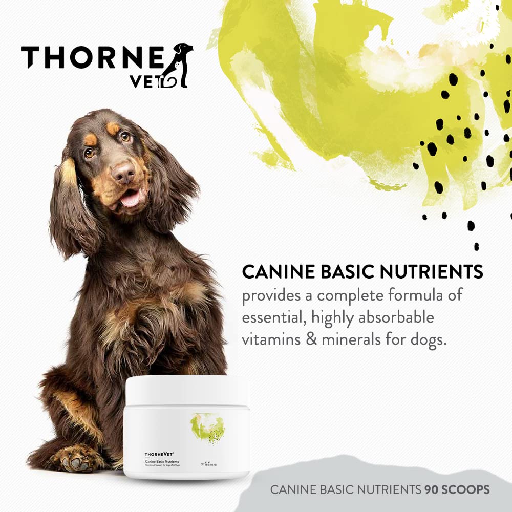 ThorneVet Canine Basic Nutrients – absorption élevée pour une nutrition optimale.