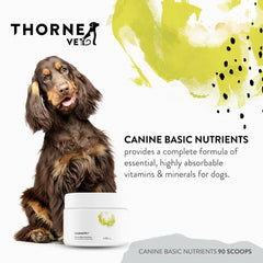 ThorneVet Canine Basic Nutrients – absorption élevée pour une nutrition optimale.