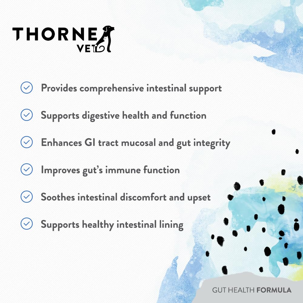 ThorneVET Formule Santé Intestinale pour chien: utilisation dans l'alimentation pour le confort digestif