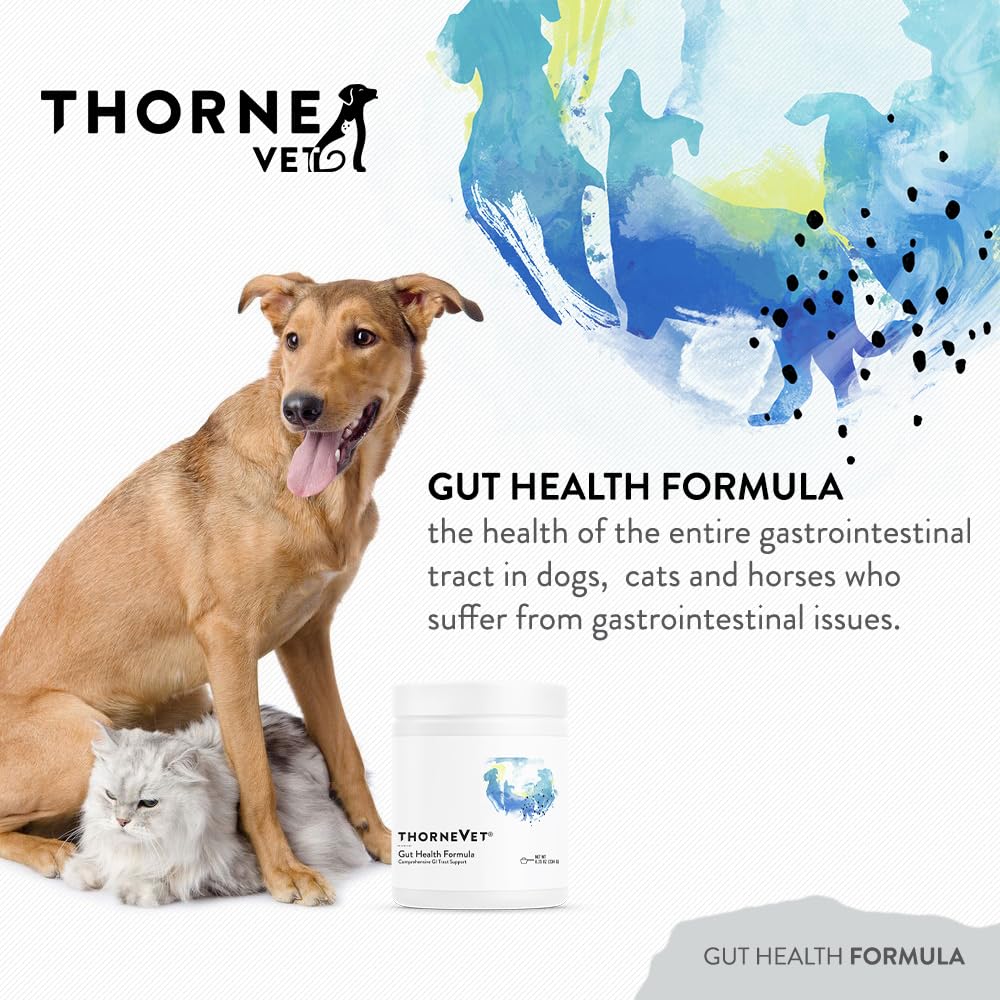 ThorneVET Formule Santé Intestinale – doseuse poudre, dosage pratique pour soutien digestif