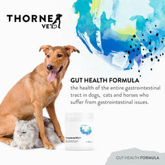 ThorneVET Formule Santé Intestinale – doseuse poudre, dosage pratique pour soutien digestif
