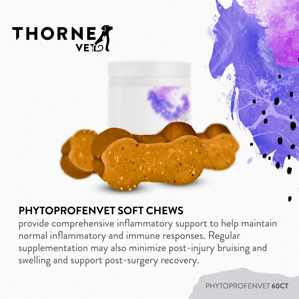 ThorneVET PhytoprofenVET contient bromélaïne et curcumine pour soutien inflammatoire.