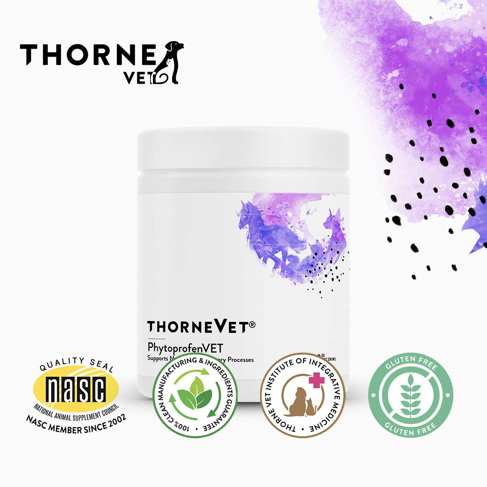 ThorneVET PhytoprofenVET utilisation à domicile pour soutenir l'effort quotidien.