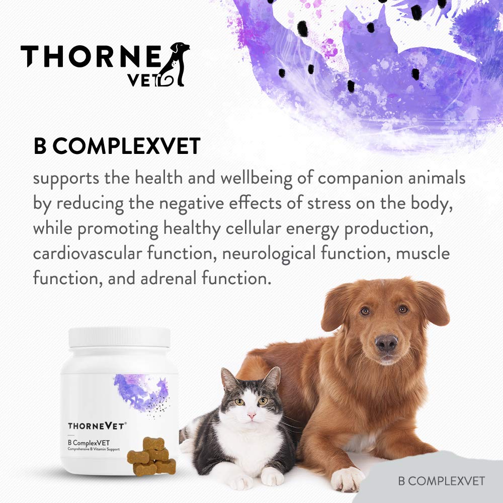 Friandises molles de ThorneVET B ComplexVET, faciles à administrer et appétentes