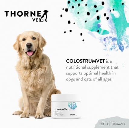 Poudre ColostrumVET mélangée à l alimentation quotidienne pour la digestion.