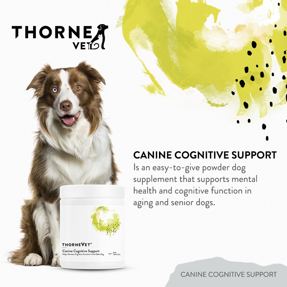 Cuillère-dose ThorneVet pour doser la poudre et l’ajouter facilement au repas.