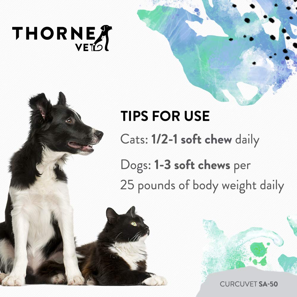 CurcuVET-SA50 utilisable au quotidien pour animaux actifs