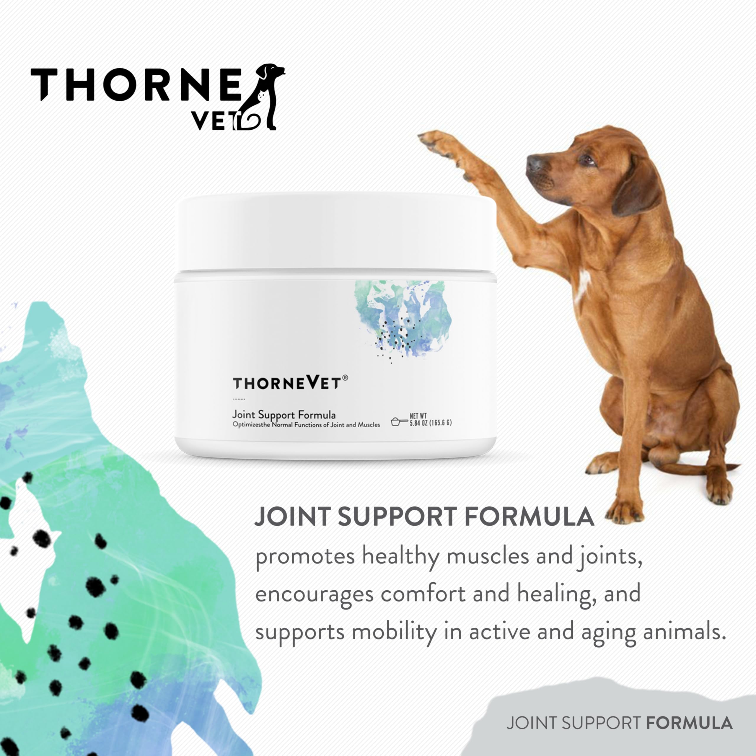 ThorneVet Joint Support Poudre – ingrédients glucosamine et chondroïtine pour articulations saines.