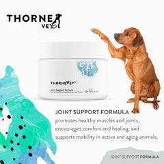 ThorneVet Joint Support Poudre – ingrédients glucosamine et chondroïtine pour articulations saines.