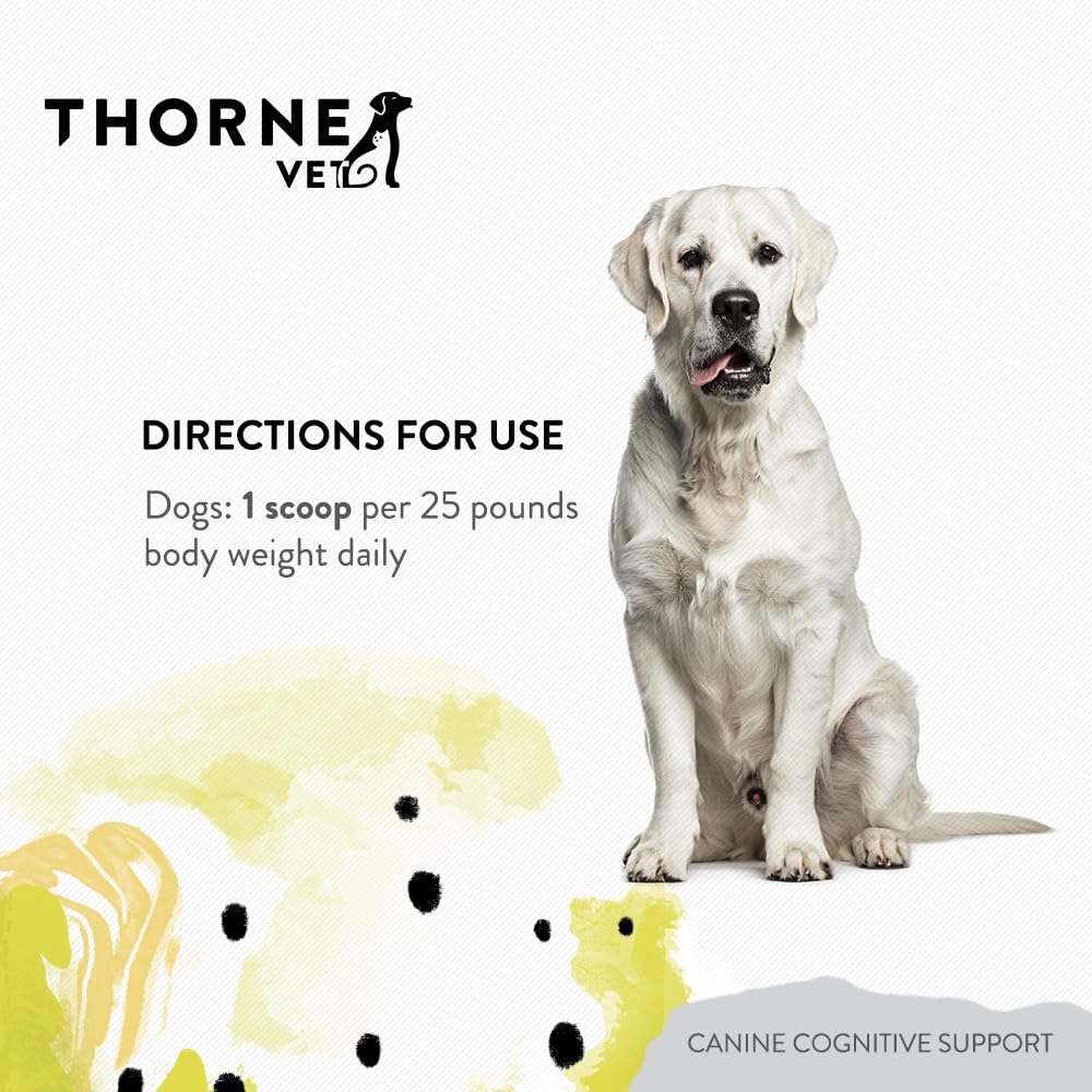 Utilisation quotidienne de ThorneVet pour chiens âgés, facile à intégrer au quotidien.