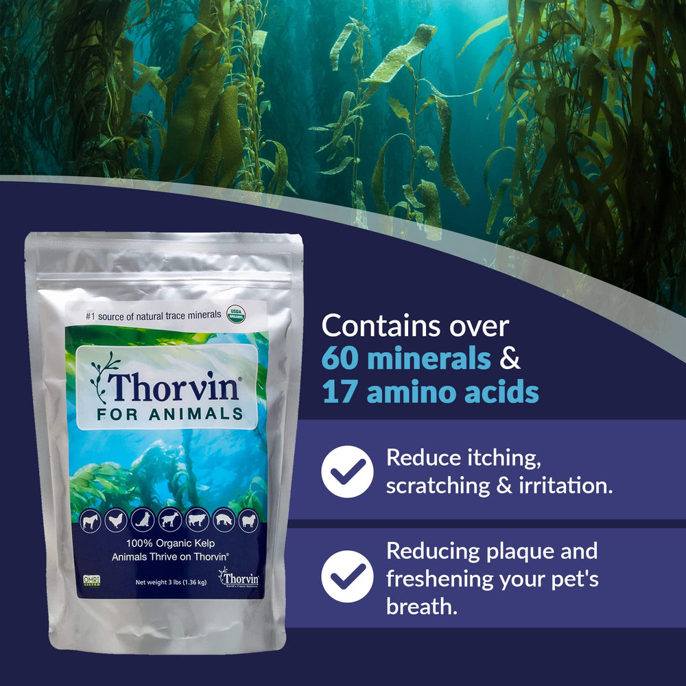 Thorvin Kelp: ingrédients et minéraux essentiels pour la vitalité animale.