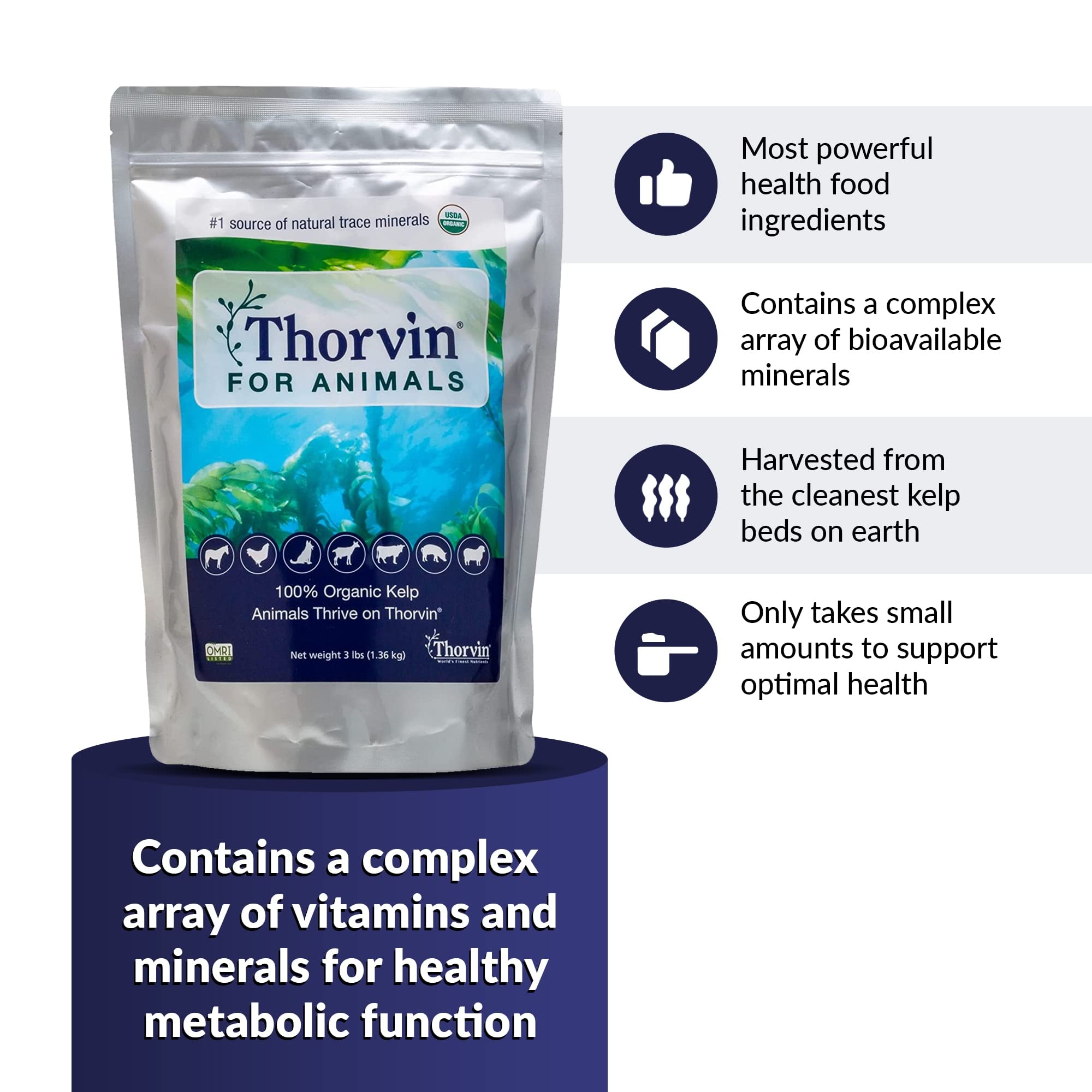 Thorvin Kelp: pelage éclatant et peau saine grâce à ce complément naturel.