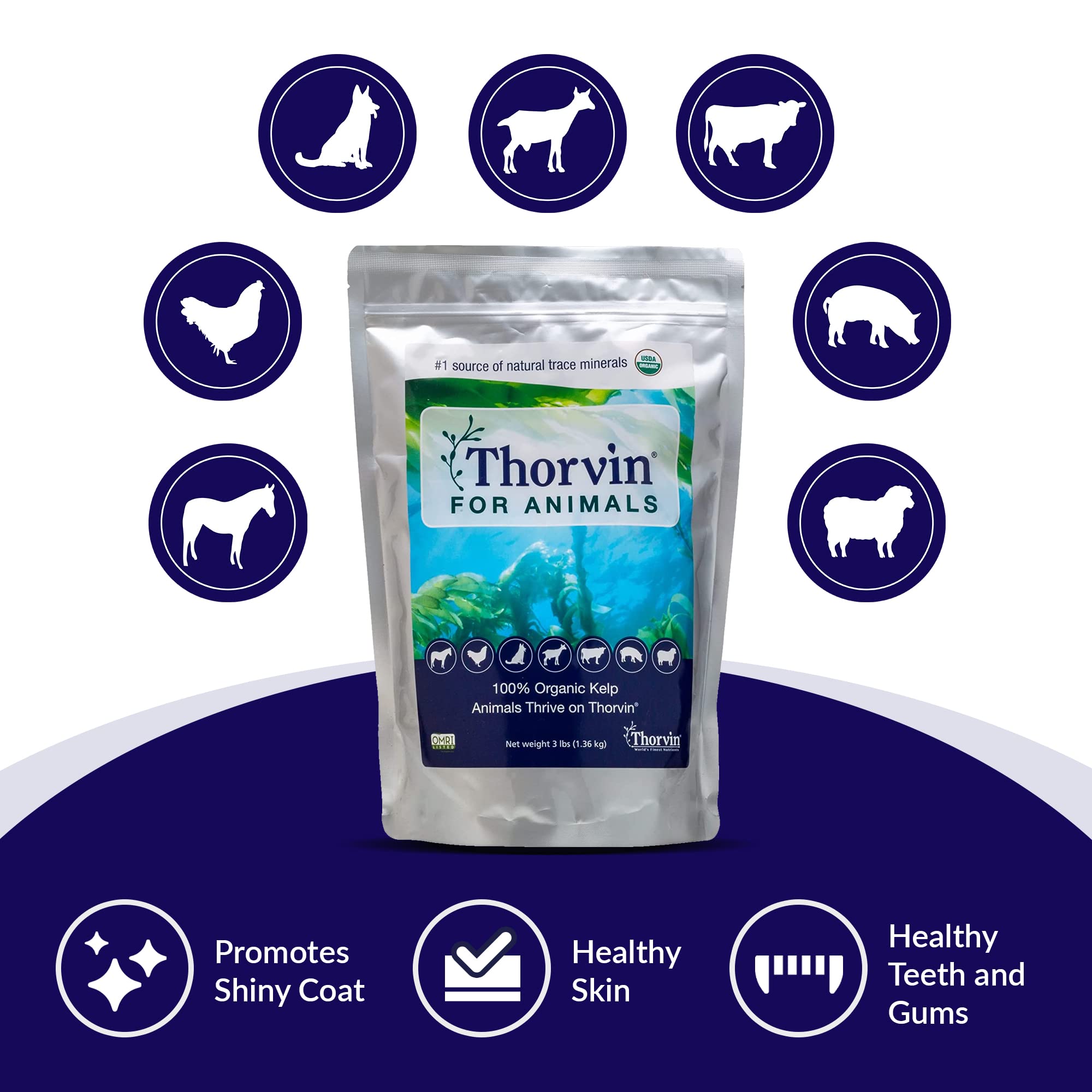 Thorvin Kelp: soutien dentaire et gencives saines pour chiens et chats.
