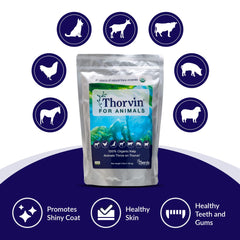 Thorvin Kelp: soutien dentaire et gencives saines pour chiens et chats.