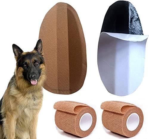 THOUDONER support d’oreilles pour Doberman, usage extérieur pratique et sûr.