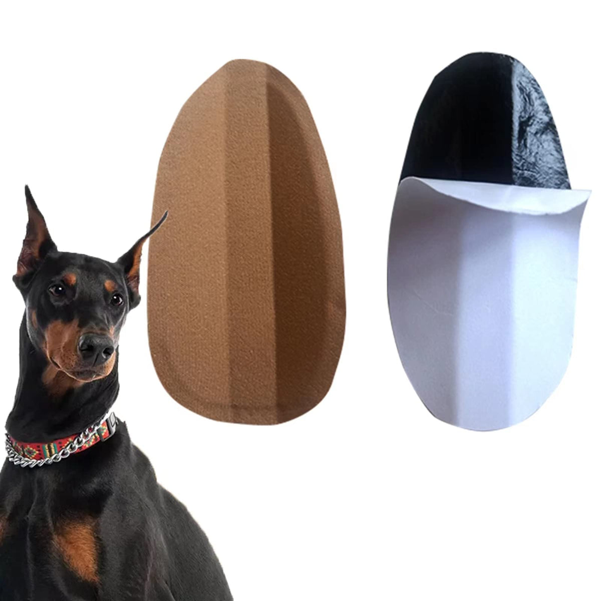 THOUDONER support d’oreilles pour Doberman, utilisation intérieure avec stabilité renforcée.