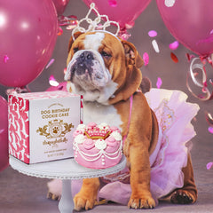 Thoughtfully Pets biscuits beurre de cacahuète, gâteau pour chien, saveur appréciée