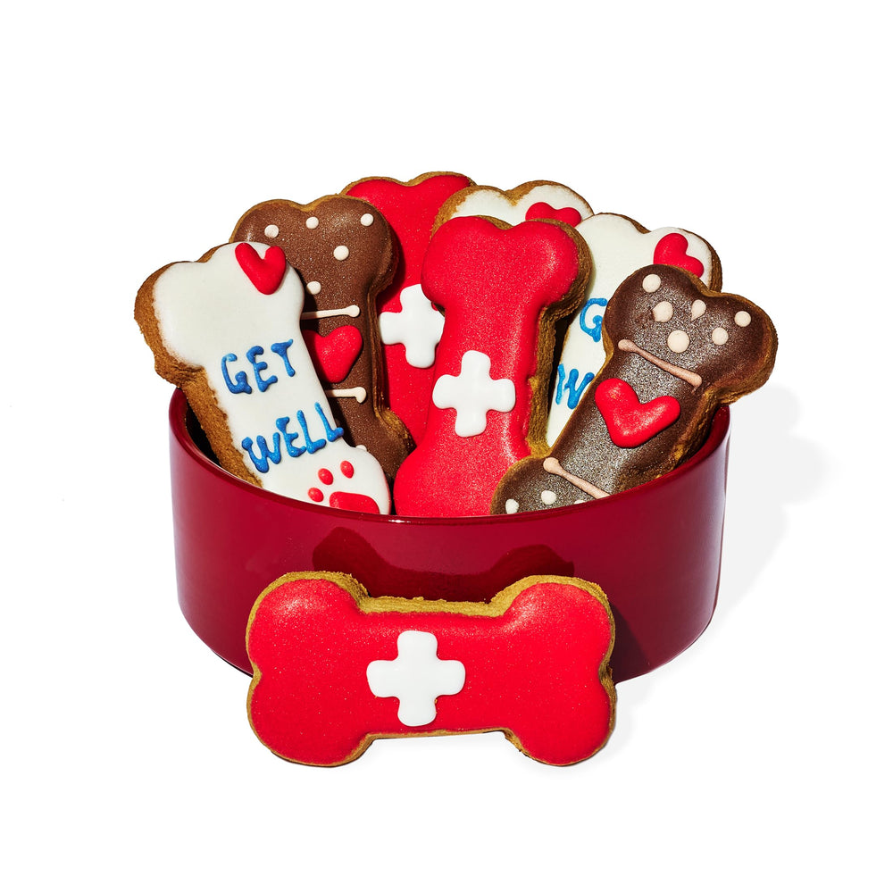 Thoughtfully Pets Get Well – biscuits croquants couleur vive, gros plan sur la décoration.