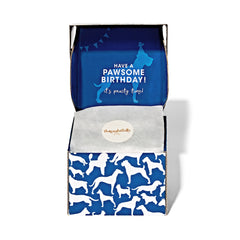 Thoughtfully Pets Gâteau bleu partageable, idéal pour partager avec des amis chiens.