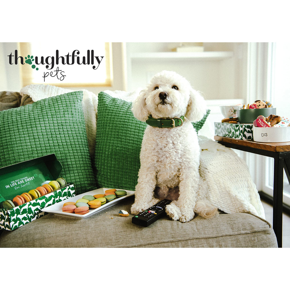 Thoughtfully Pets – Paquet cadeau biscuits-os rose, prêt à offrir lors d'une fête canine.