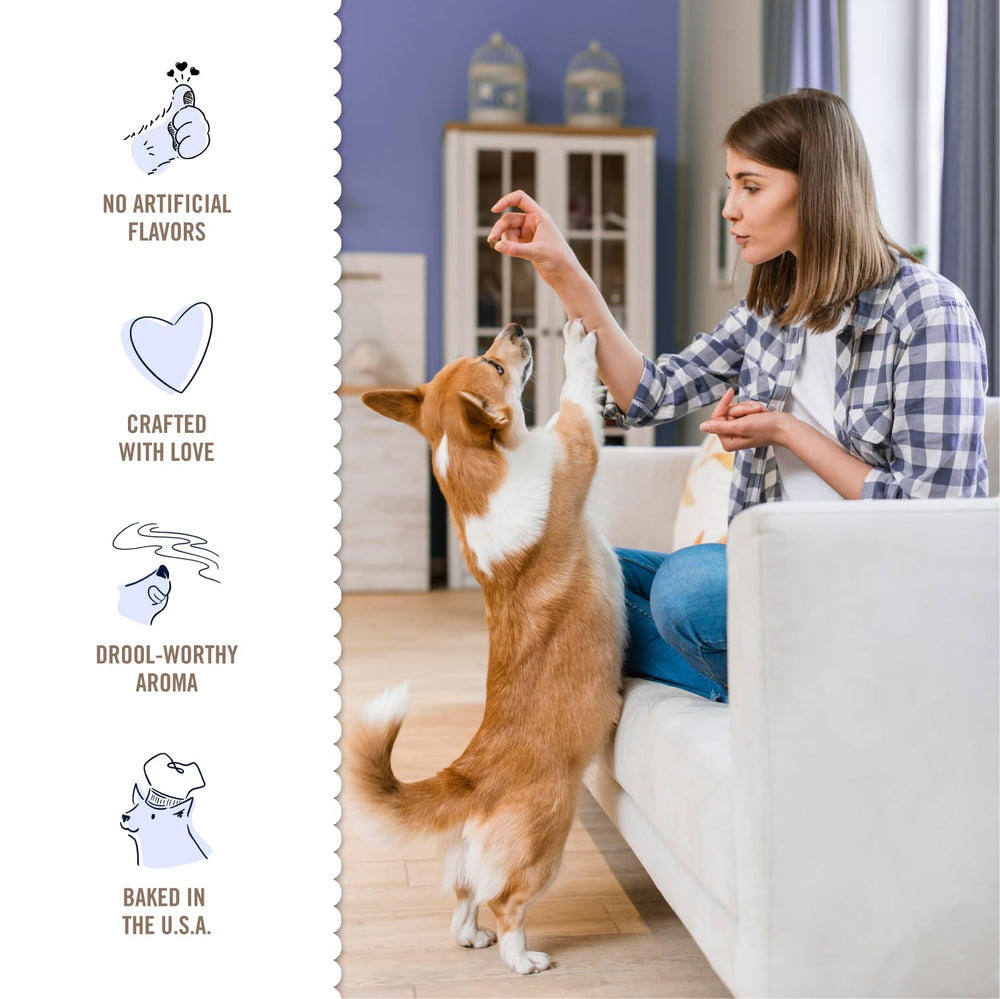 Idéal pour foyers multi-chiens, les os Itty Bitty Bones facilitent le dressage.