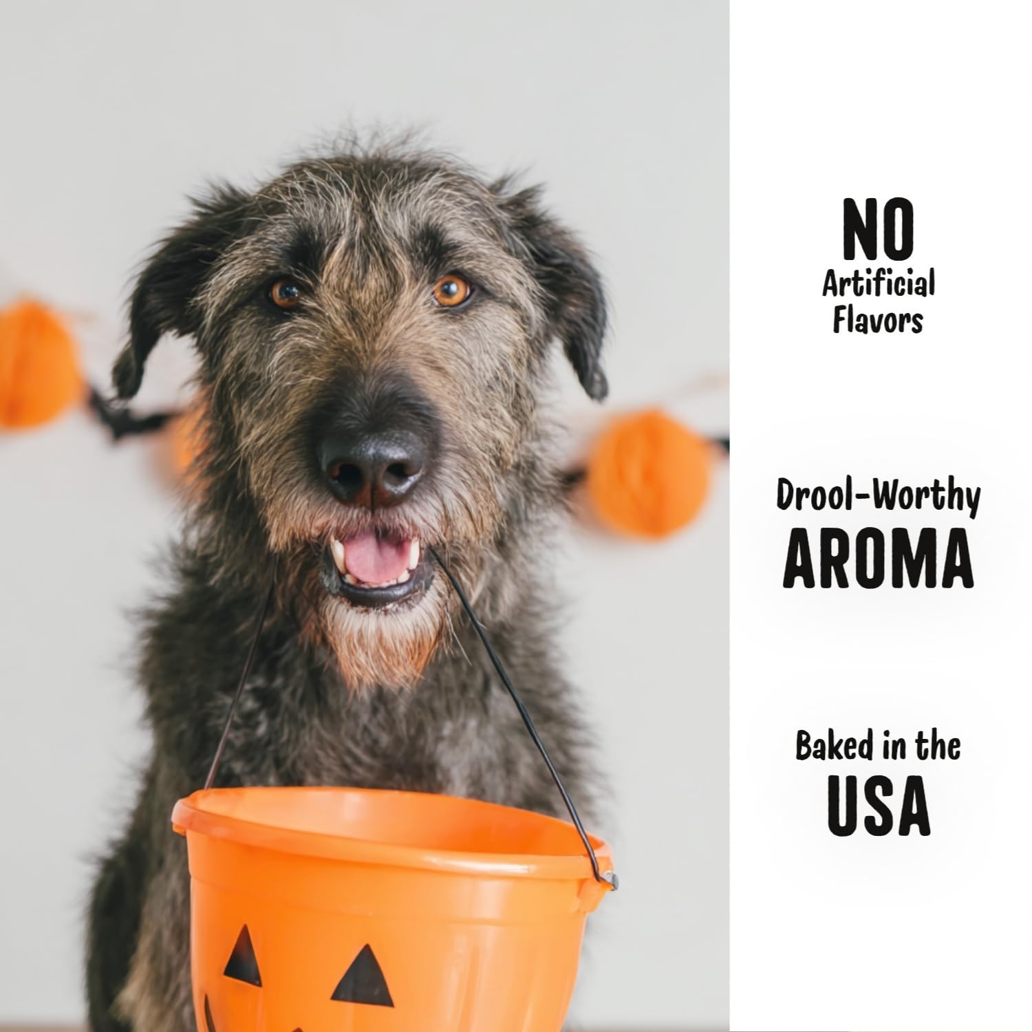 Three Dog Bakery Howl-O-Ween texture croquante et crème onctueuse