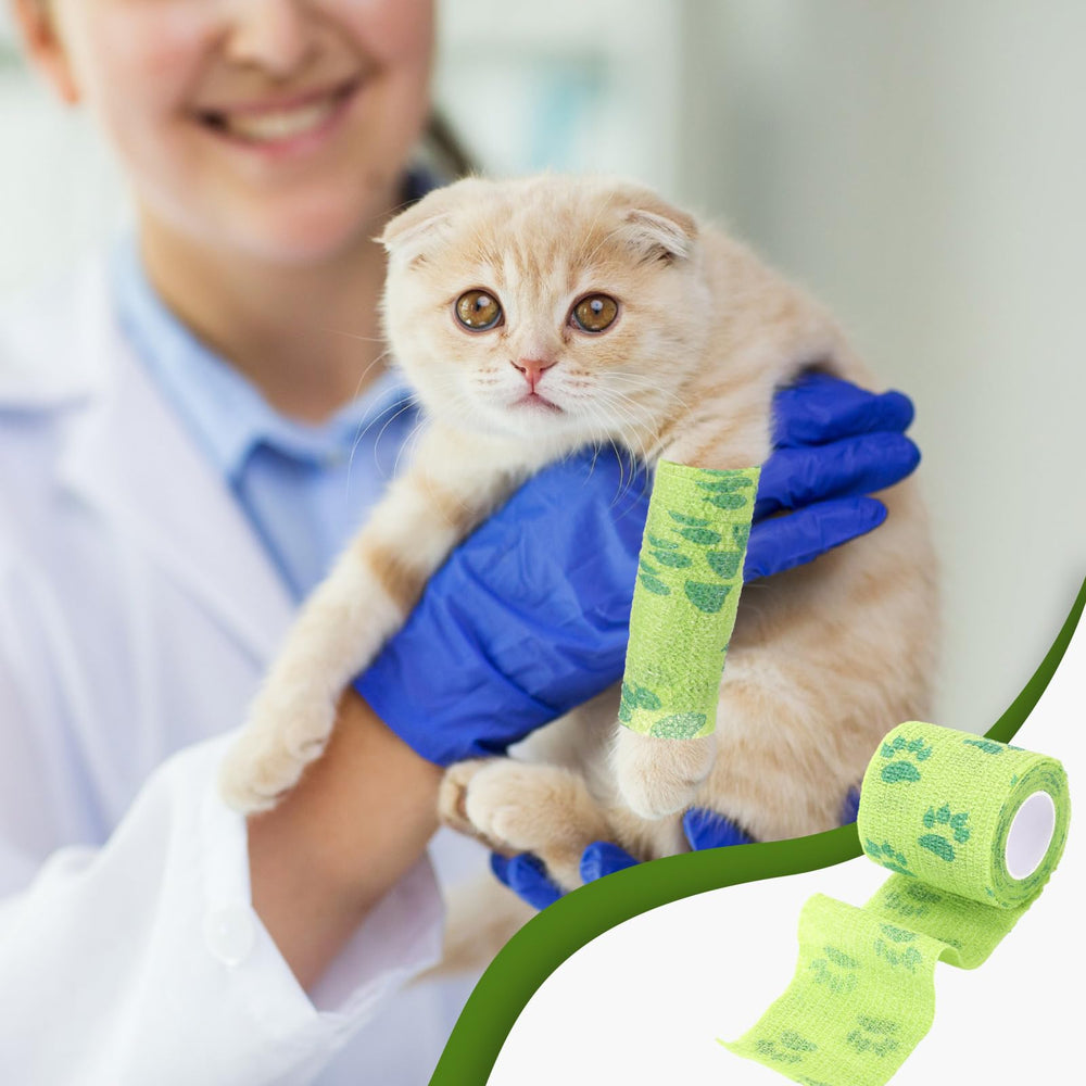 Threlaco pansement anti-mordillage chien verte, dimensions adaptées pour divers endroits