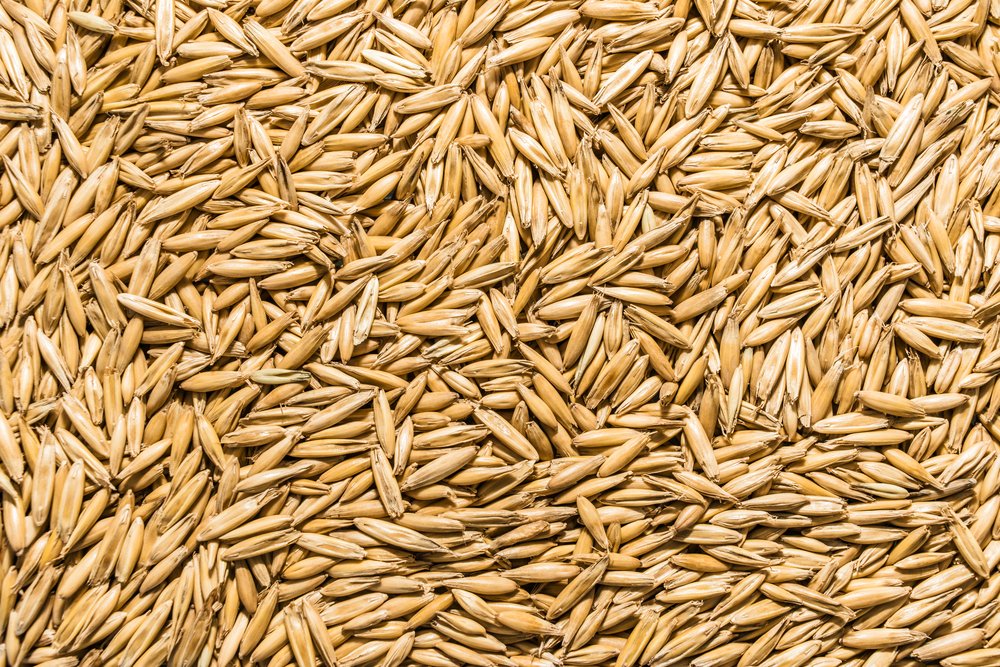 Thunder Acres graine-d-avoine non-gmo en emballage, qualité certifiée, pratique pour l'alimentation