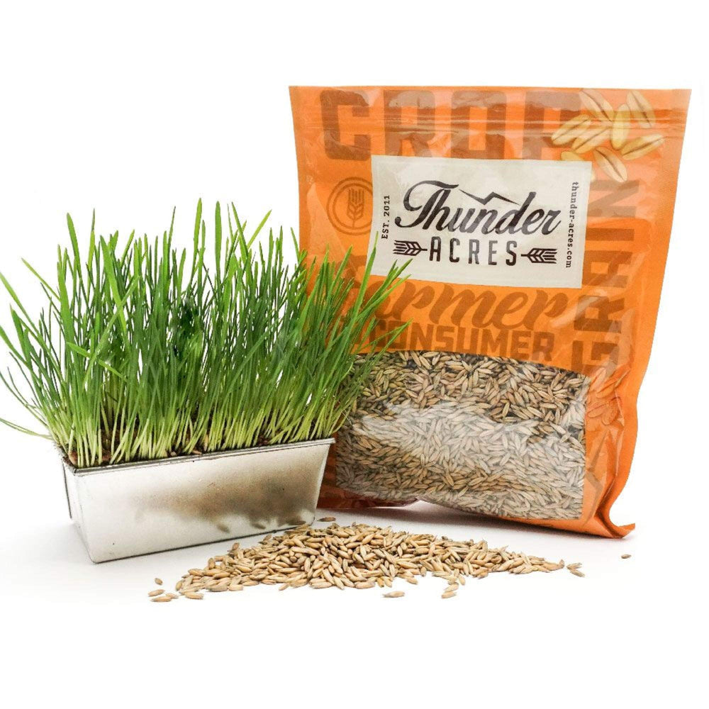 Thunder Acres graine-d-avoine-usa-production-empaquetage, traçabilité et qualité garanties