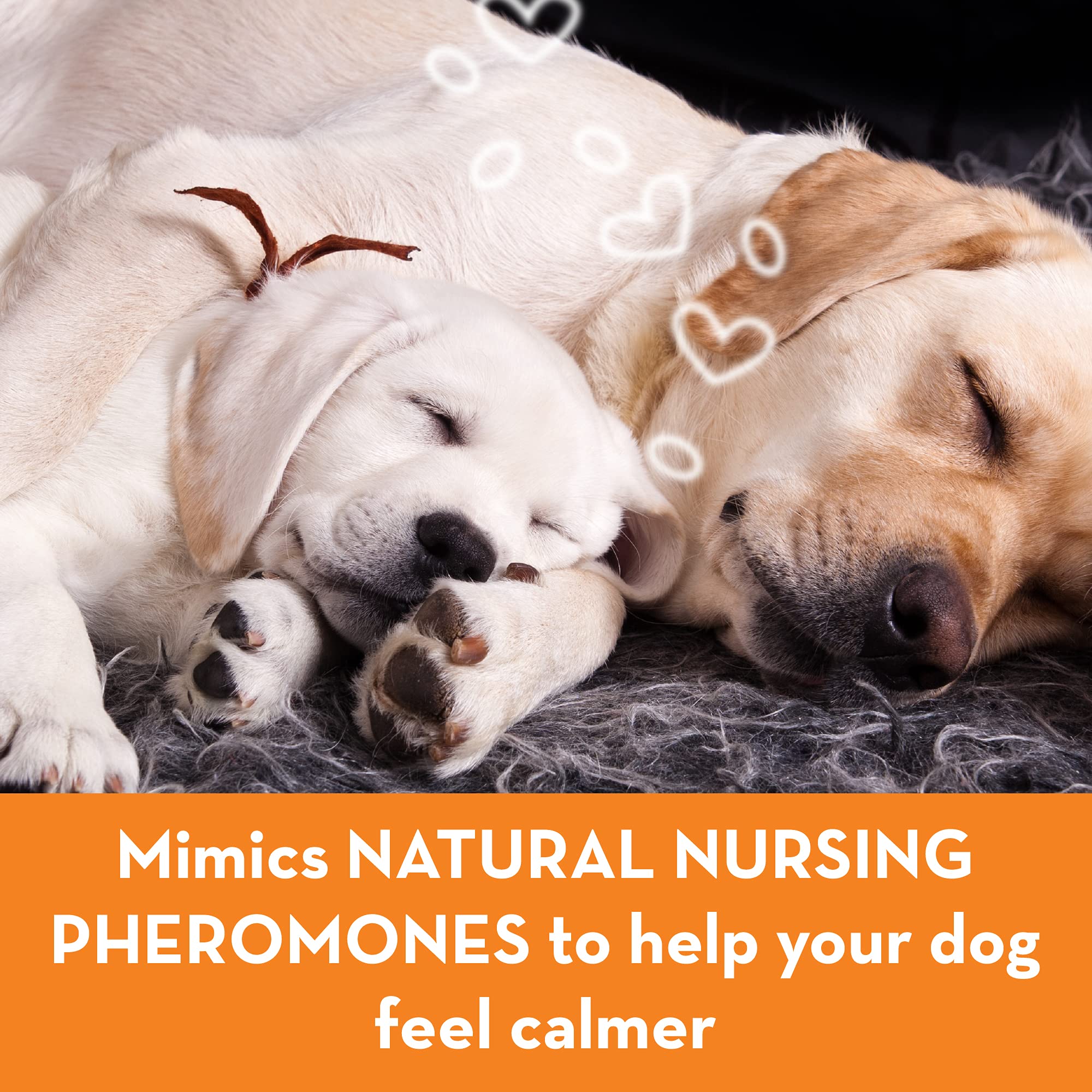 ThunderEase accessoire-diffuseur-chiens : complément utile pour gérer l’anxiété.
