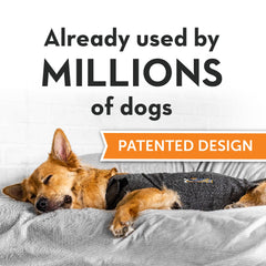 ThunderShirt: fermetures et réglage faciles pour ajuster la pression.