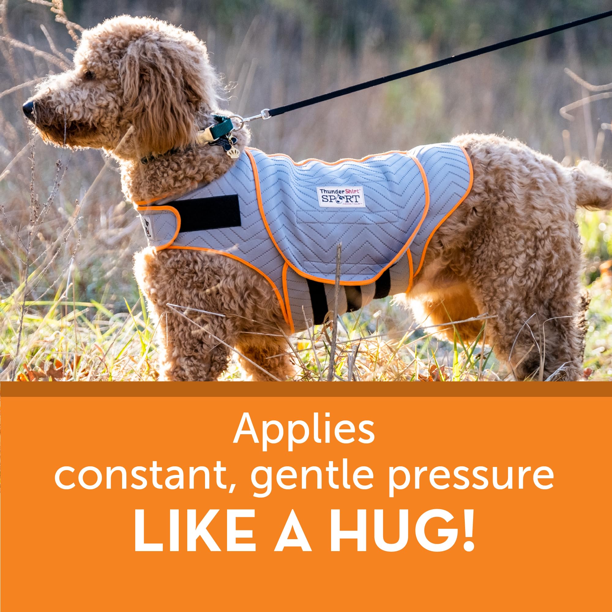 ThunderShirt logo réfléchissant pour une sécurité accrue pendant les balades nocturnes.