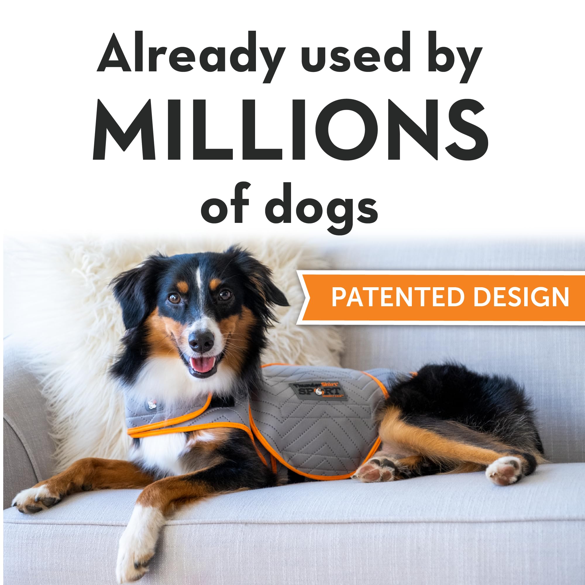 Thundershirt, matière respirante et confortable pour chien.