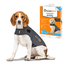 ThunderShirt sur un chien portant le modèle moyen gris chiné pour un apaisement visuel.