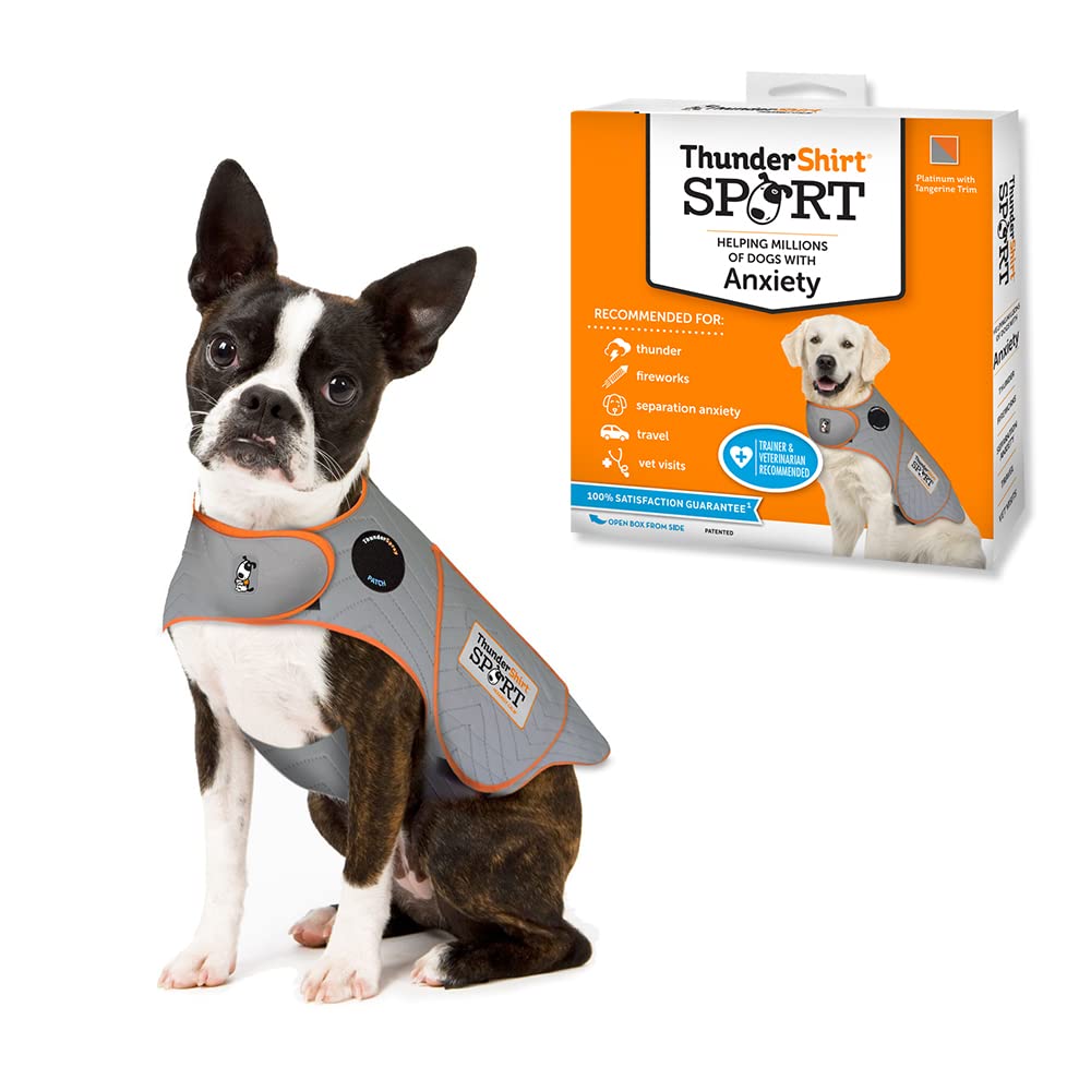 ThunderShirt pression apaisante sur le torse du chien pour apaiser l’anxiété.
