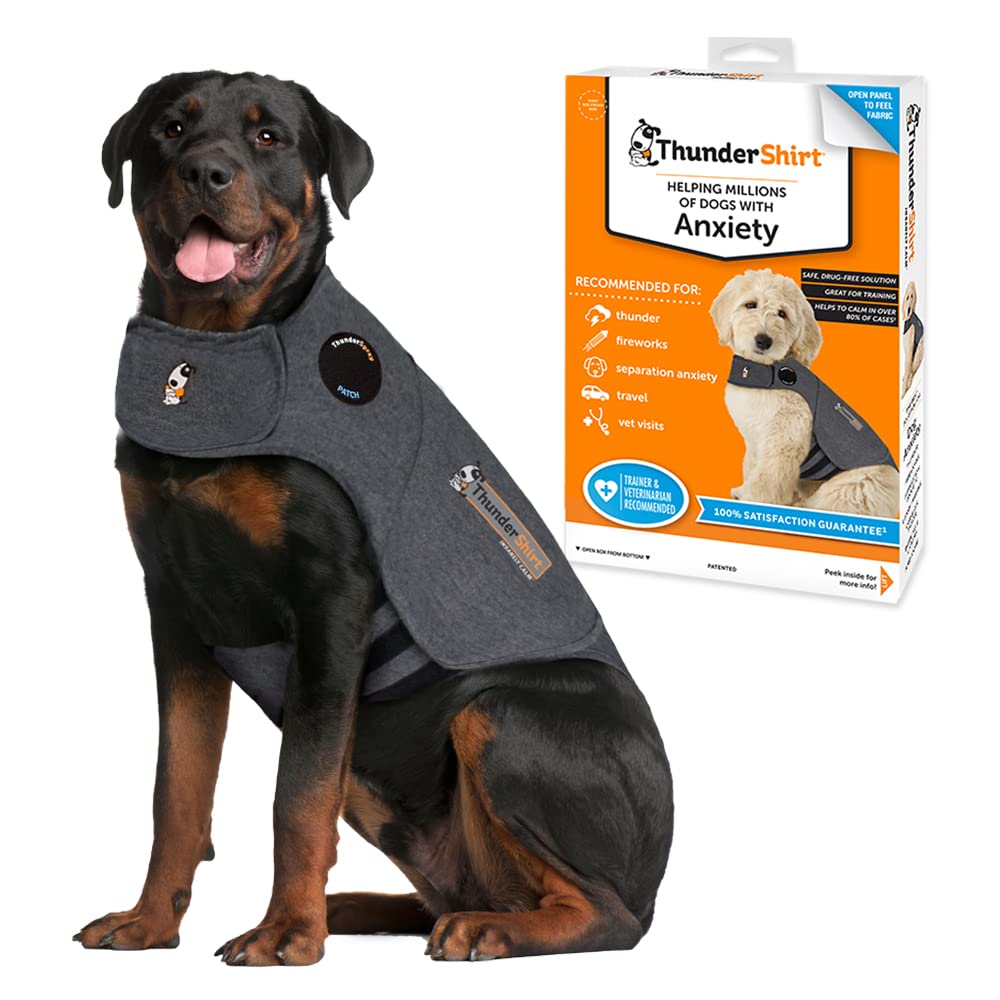 ThunderShirt chien pression apaisante: favorise le calme lors des tempêtes.