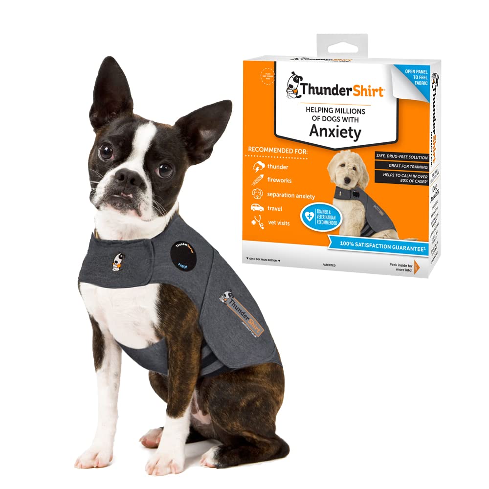 ThunderShirt pour chien, torse sous pression apaisante pour calmer l'anxiété.