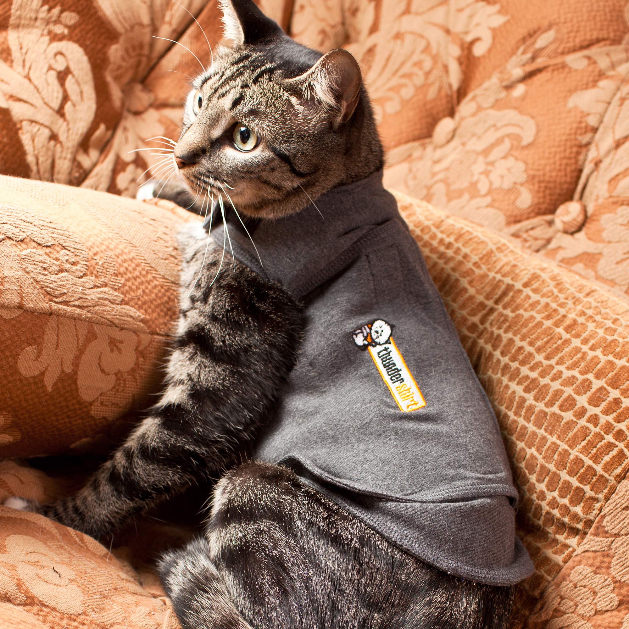 Thundershirt Classic Chat — confort quotidien: soutien lors des déplacements