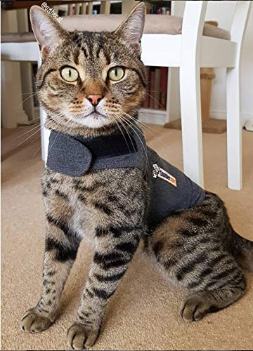 Thundershirt Classic Chat — usage sans médicament: apaisement possible