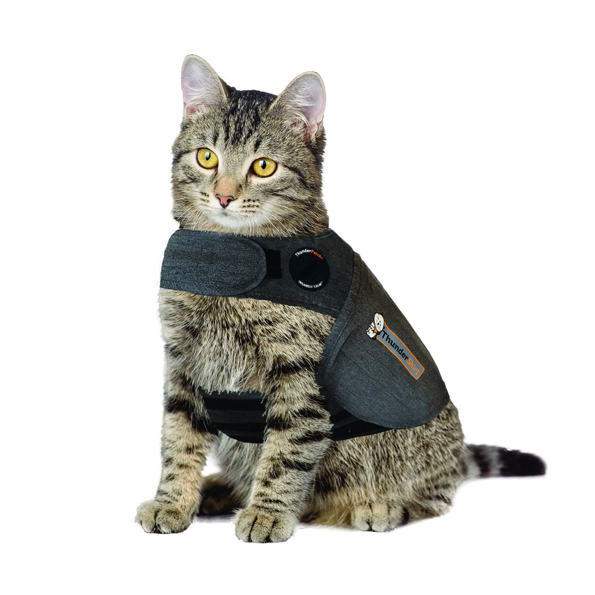Thundershirt Classic Chat — vue dos: veste apaisante en action