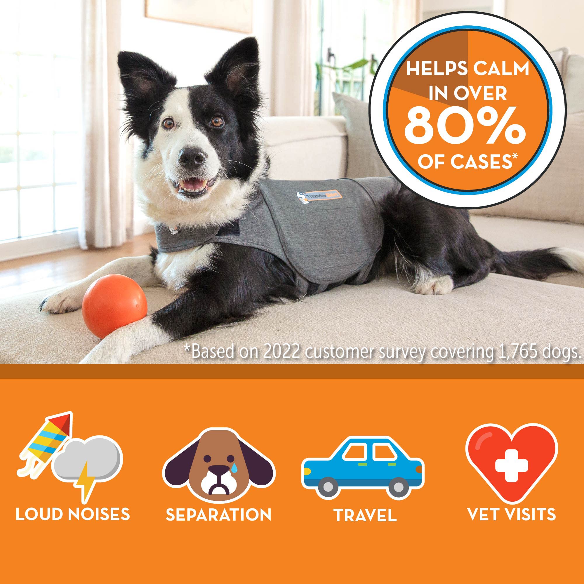Thundershirt lavable en machine, entretien simple et durable pour chien actif.