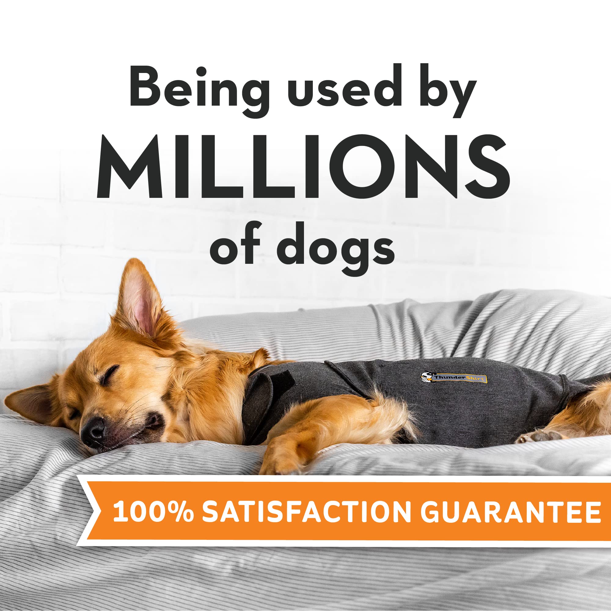 Thundershirt pression douce torse chien, contribue à calmer les situations stressantes.